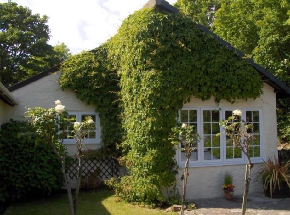Apartment In Lovely Village Newquay (Cornwall)